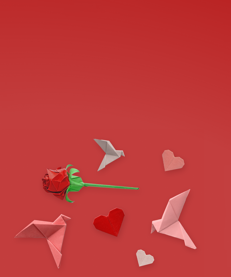 Origami birds, roses, and hearts for Confetti's Virtual BYO Valentine's Day Origami Class