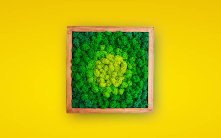 Green moss wall art in wooden frame against yellow background (preview)