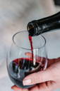 Wine Tasting Kit