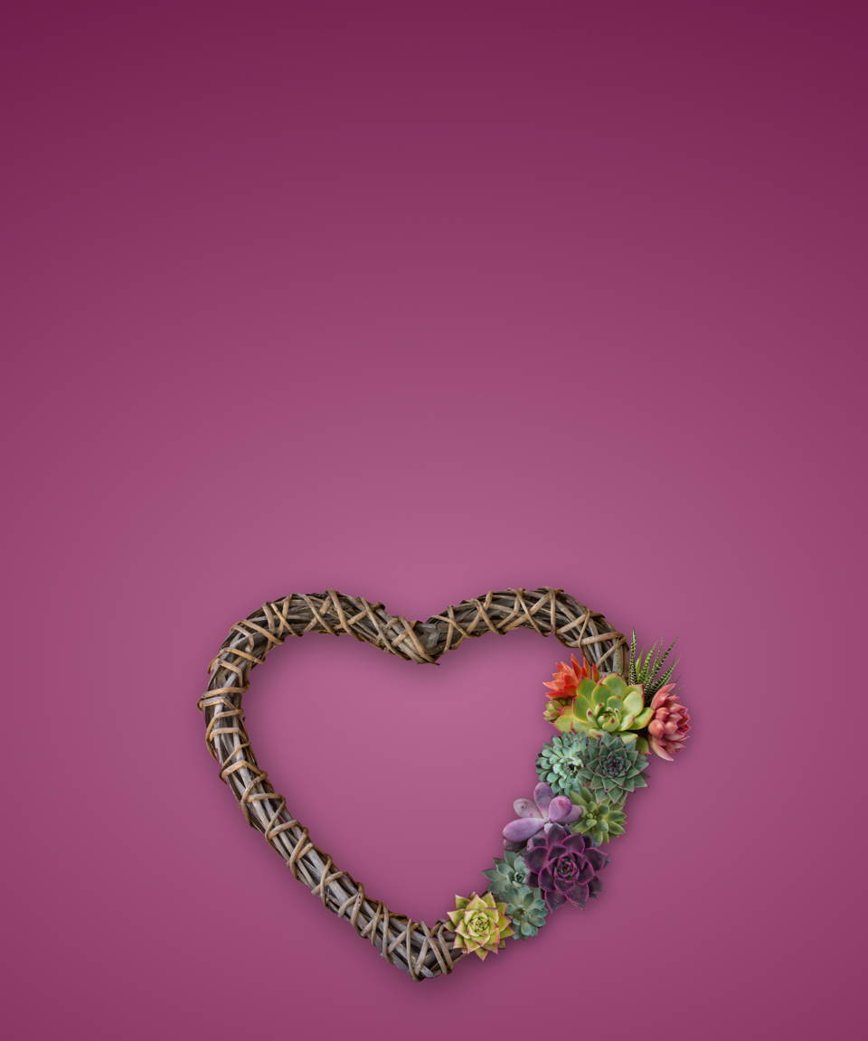 Heart shaped wreath decorated with succulents (small)