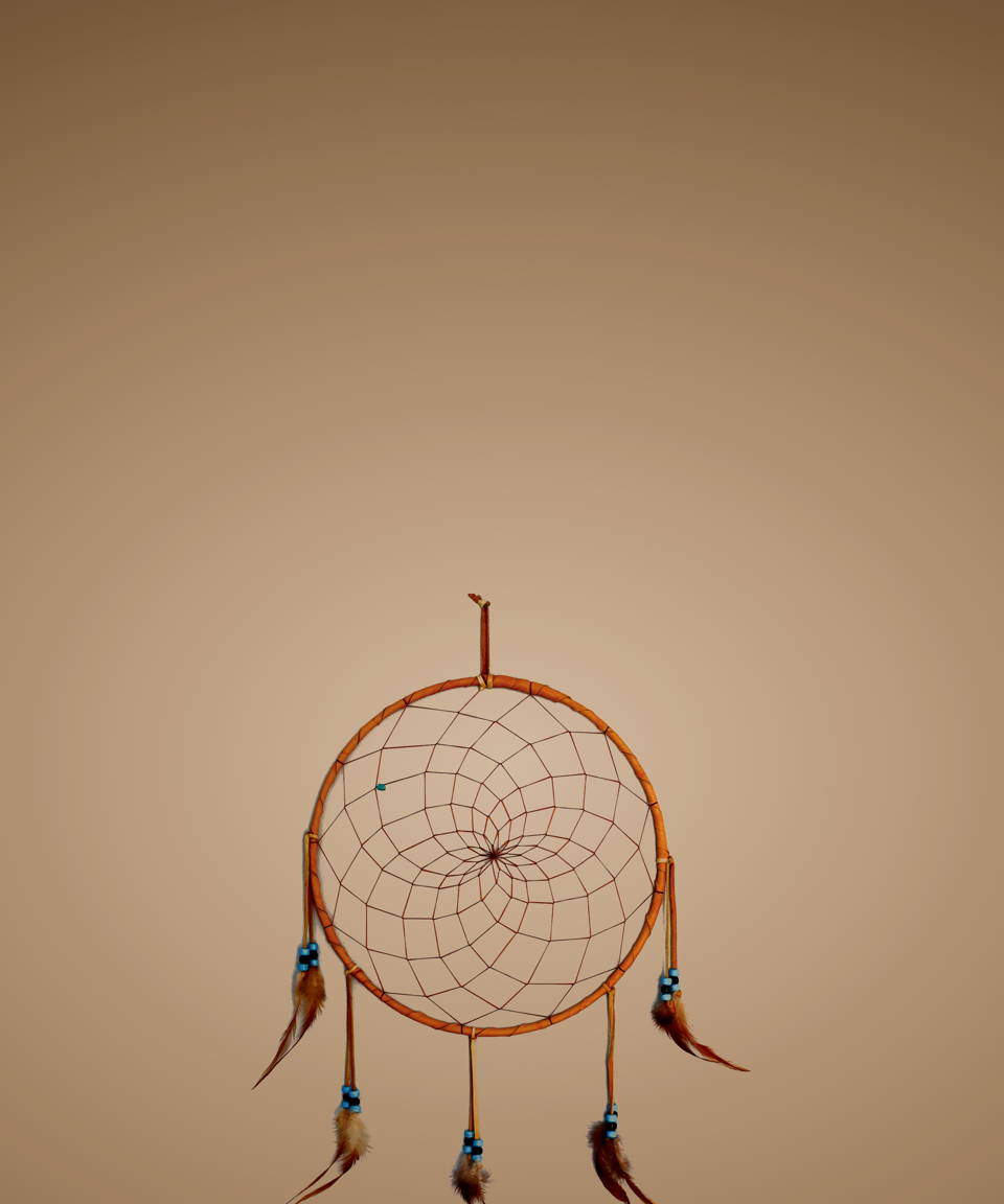 a dream catcher from a dream catcher class (small)