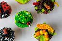 Bugs & Critters
