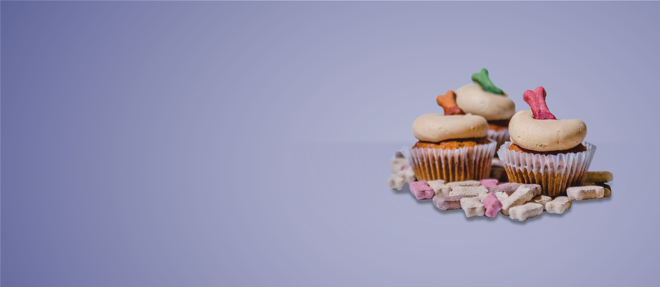 Dog treats surrounding three dog friendly cupcakes topped with frosting and a dog treat for Confetti's Virtual Pet Treat Baking Class