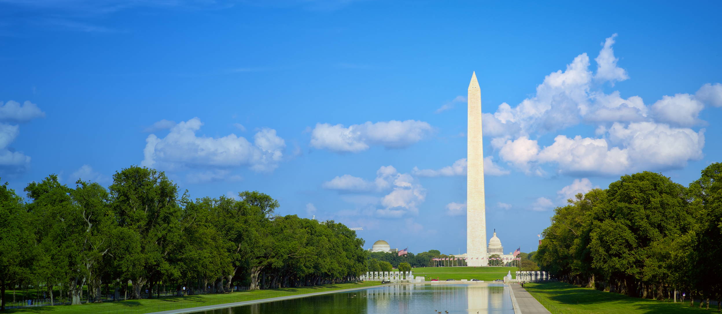 The Washington Monument scene, with a blue sky and trees, and American flags in the background.