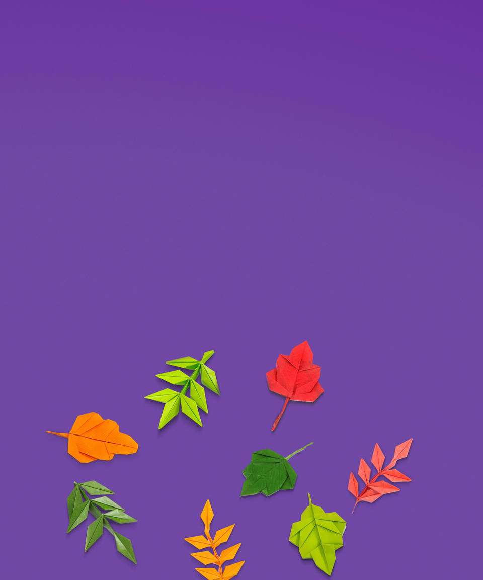 Colorful origami leaves for Confetti's Virtual Fall Origami Class