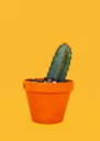 Mini Planter