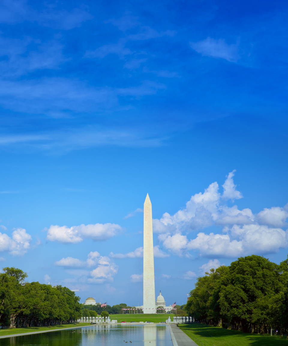 The Washington Monument scene, with a blue sky and trees, and American flags in the background.