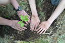 Trees For The Future