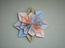 Lotus Flower