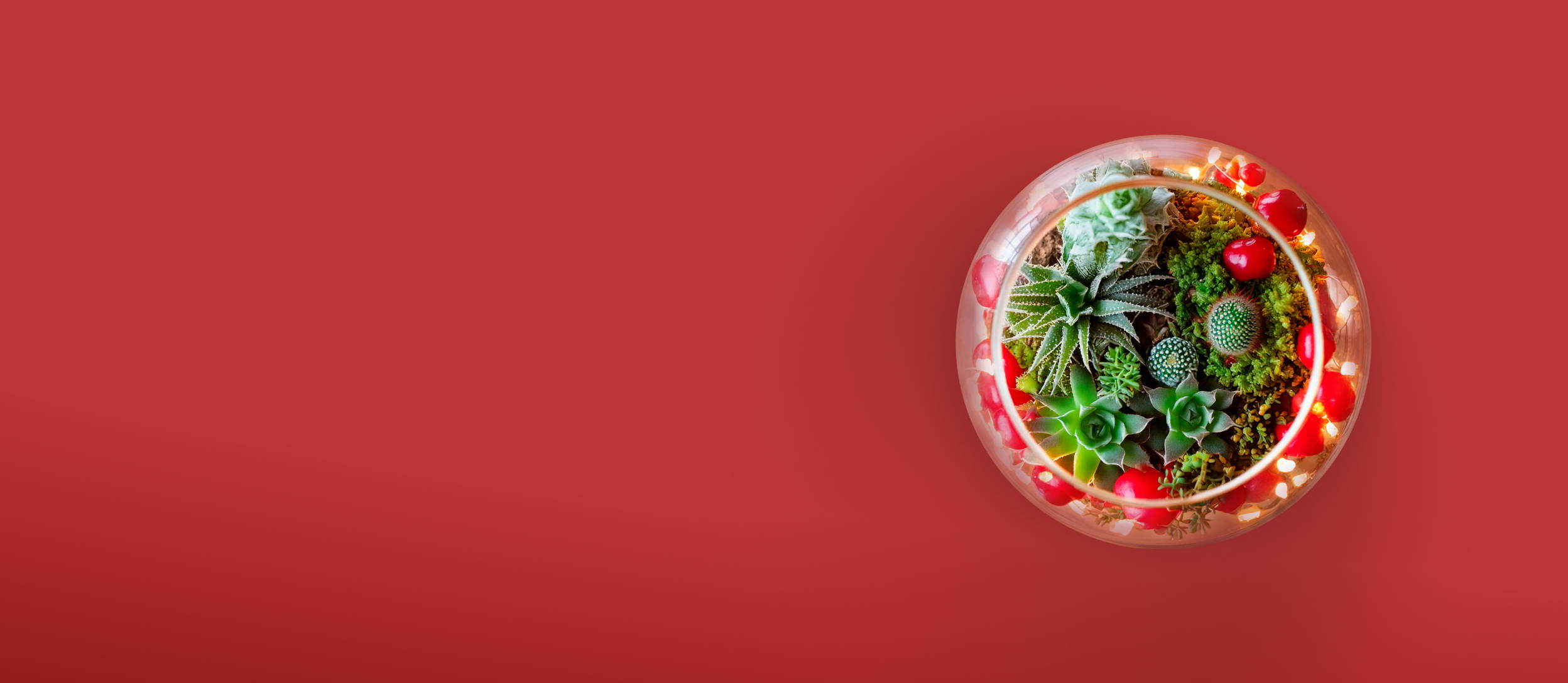 Succulents and cacti in glass terrarium with string lights (large)