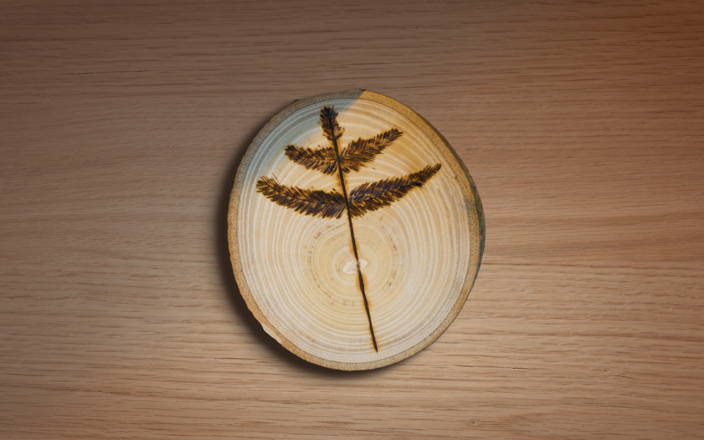 A leaf burned into wood for Confetti's Virtual Wood Burning Classes