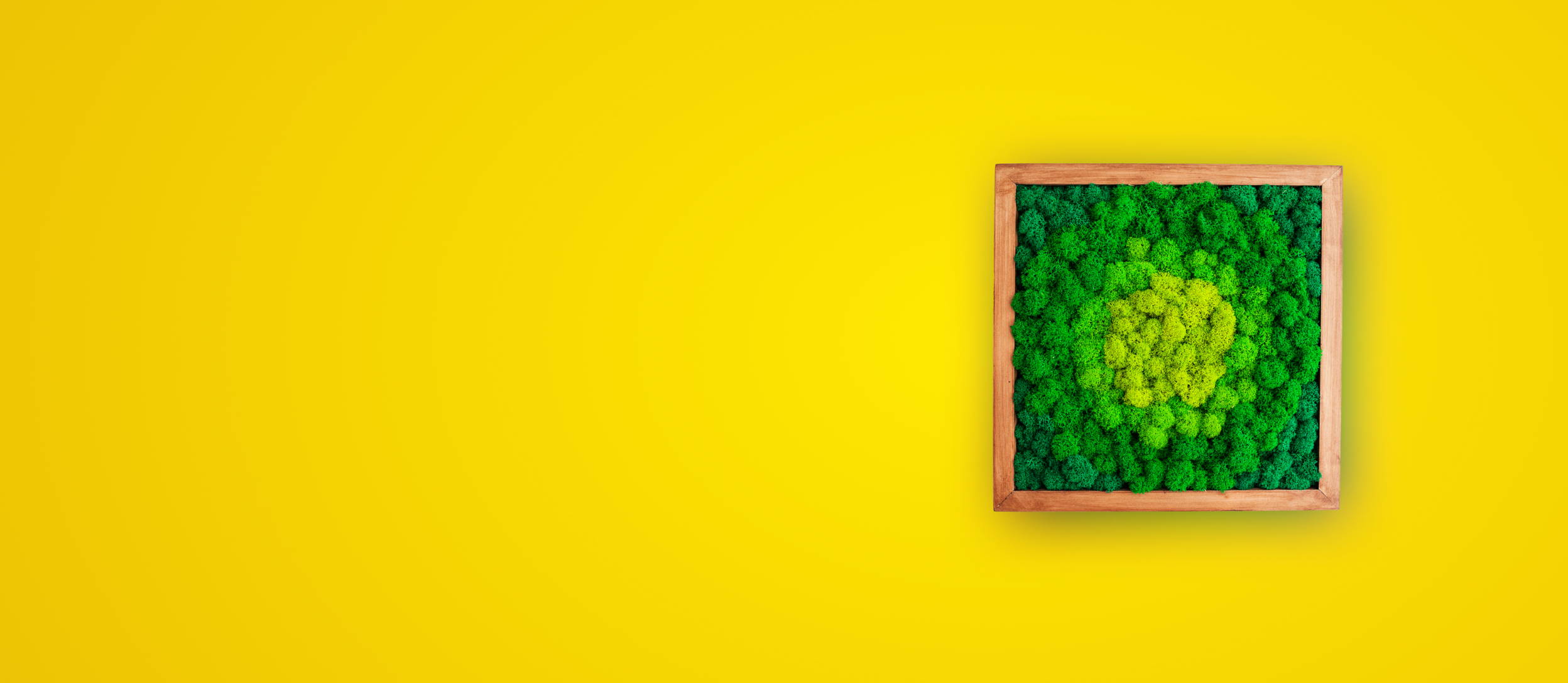 Green moss wall art in wooden frame against yellow background (large)